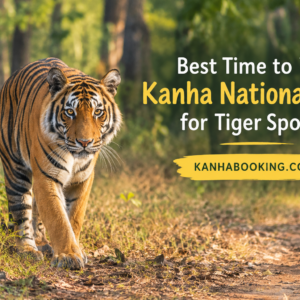 Best Time to Visit Kanha National Park for Tiger Spotting