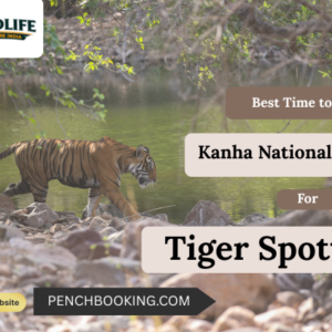 Kanha National Park for Tiger Spotting