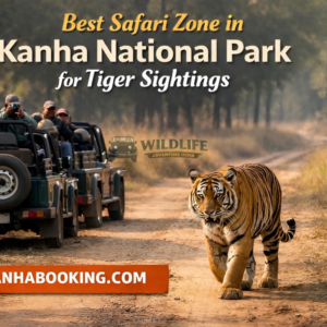 Best Safari Zone in Kanha Nation Park for Tiger Sightings