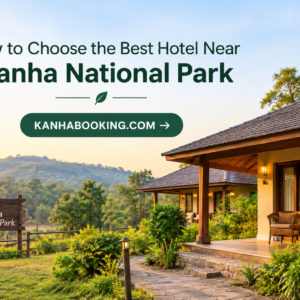 How to Choose the Best Hotel Near Kanha National Park