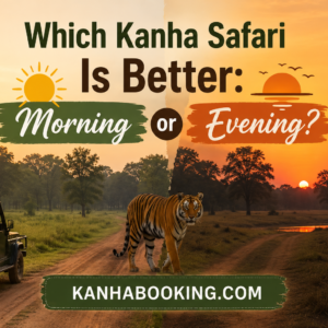 Which Kanha Safari Is Better Morning or Evening