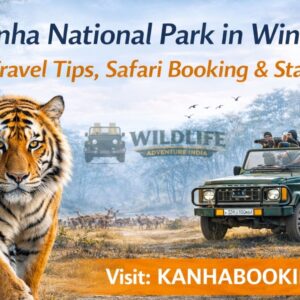 kanha national park in winter