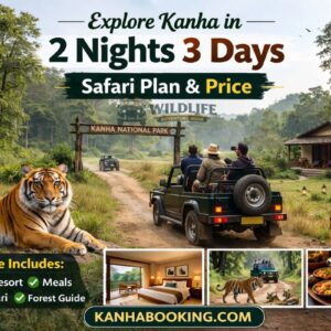 Explore Kanha in 2 Nights 3 Days – Safari Plan & Price