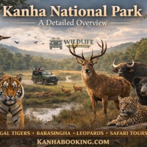 Kanha National Park A Detailed Overview