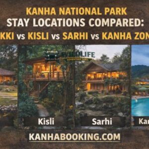 Kanha National Park Stay Locations Compared: Mukki vs Kisli vs Sarhi vs Kanha Zone