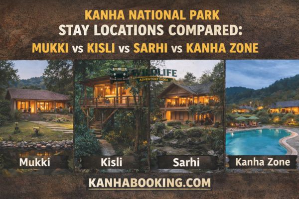 Kanha National Park Stay Locations Compared: Mukki vs Kisli vs Sarhi vs Kanha Zone