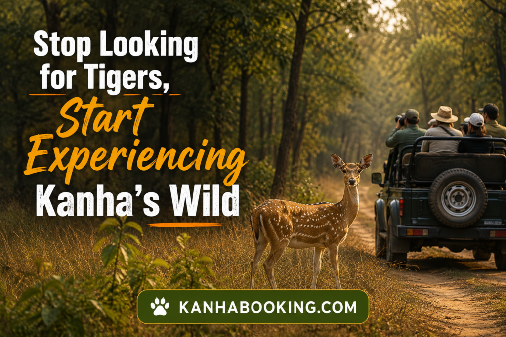 Stop Looking for Tigers, Start Experiencing Kanha’s Wild