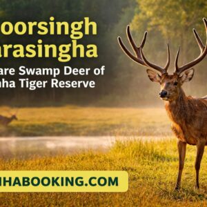 Bhoorsingh Barasingha Kanha: The Rare Swamp Deer of Kanha Tiger Reserve