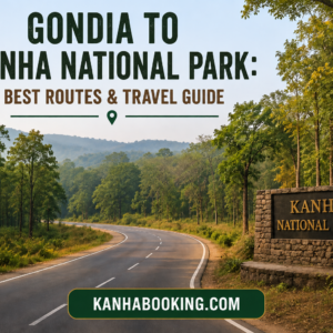 Gondia to Kanha National Park Best Routes & Travel Guide