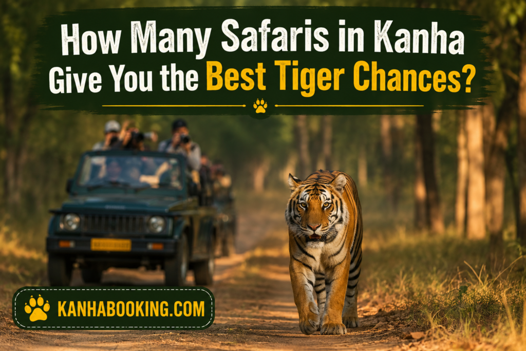 How Many Safaris in Kanha Give You the Best Tiger Chances?
