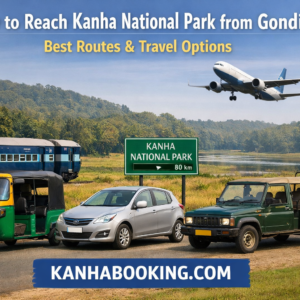 How to Reach Kanha National Park from Gondia Best Routes & Travel Options