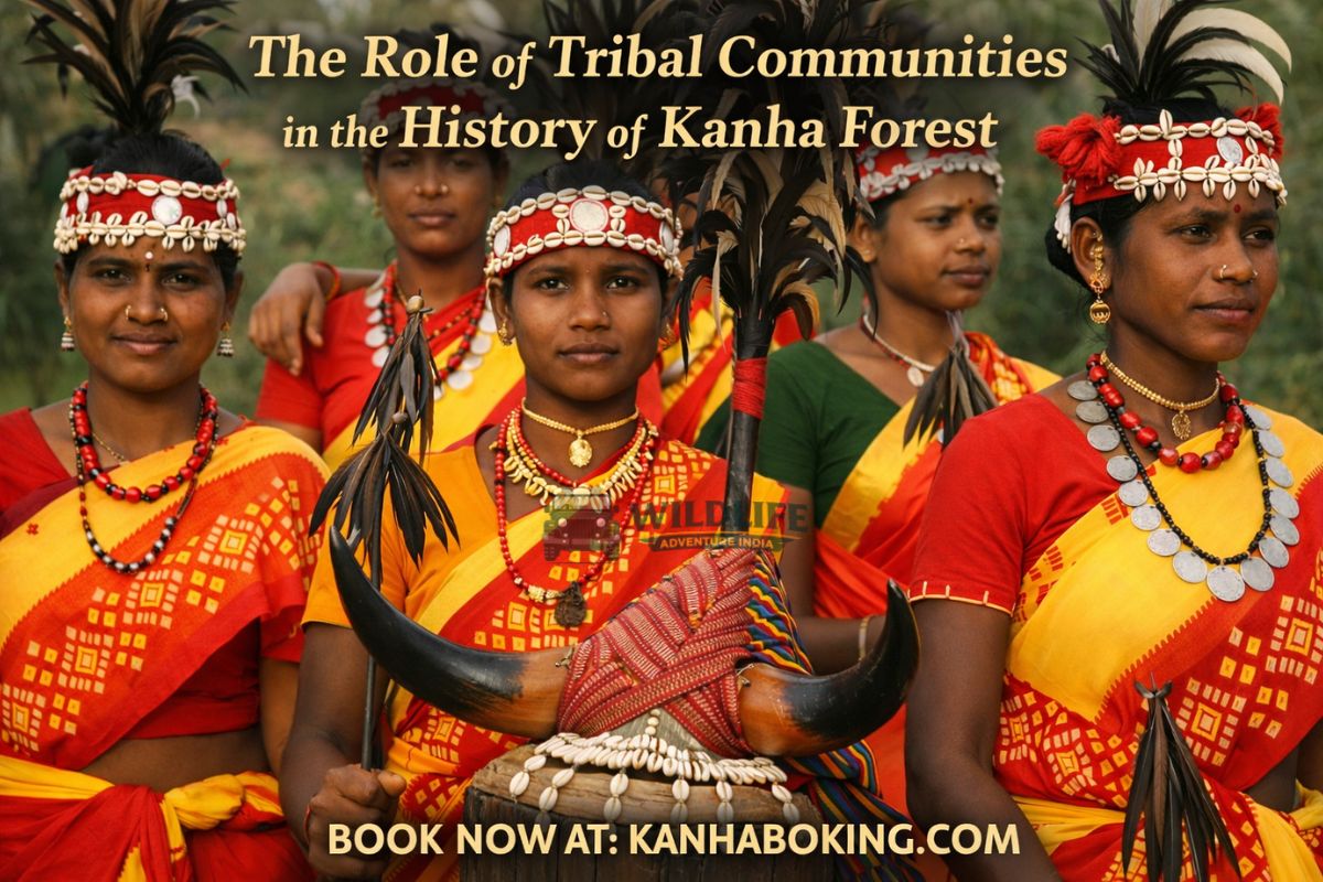 The Role of Tribal Communities in the History of Kanha Forest