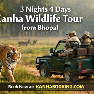 3 Nights 4 Days Kanha Wildlife Tour from Bhopal