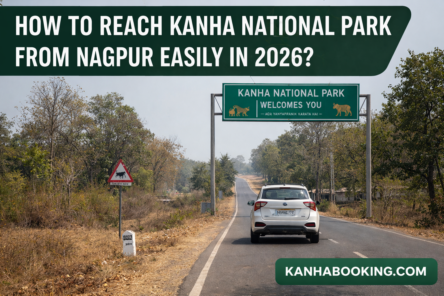 How to Reach Kanha National Park from Nagpur Easily in 2026?