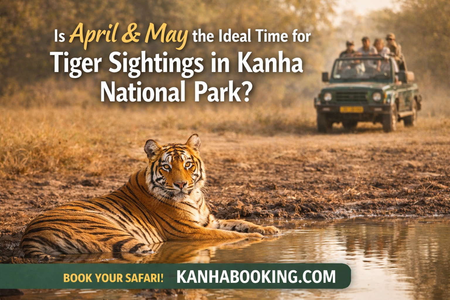 Is April &amp; May the Ideal Time for Tiger Sightings in Kanha National Park?