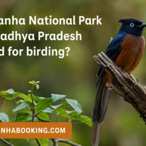 Is Kanha National Park in Madhya Pradesh good for birding