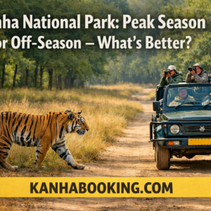 Kanha National Park Peak Season or Off-Season – What’s Better