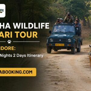Kanha Wildlife Safari Tour from Indore: Perfect 1 Nights 2 Days Itinerary