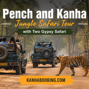 Pench and Kanha Jungle Safari Tour with Two Gypsy Safari