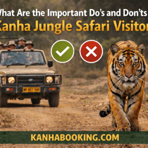 What Are the Important Do’s and Don’ts for Kanha Jungle Safari Visitors