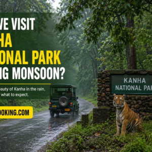 Can We Visit Kanha National Park During Monsoon