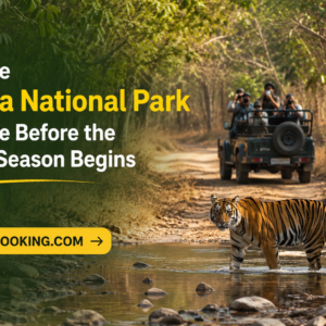 Explore Kanha National Park Wildlife Before the Rainy Season Begins