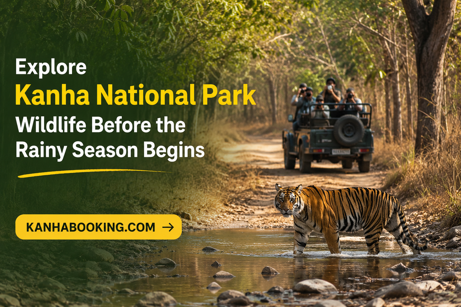 Explore Kanha National Park Wildlife Before the Rainy Season Begins