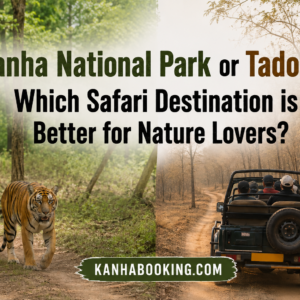 Kanha National Park or Tadoba Which Safari Destination is Better for Nature Lovers