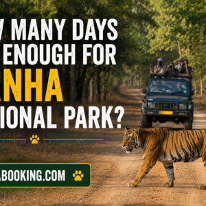How Many Days Are Enough for Kanha National Park