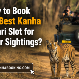 How to Book the Best Kanha Safari Slot for Tiger Sightings