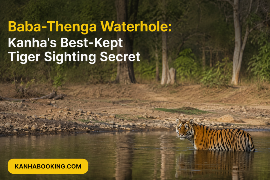 Baba-Thenga Waterhole Kanha's Best-Kept Tiger Sighting Secret
