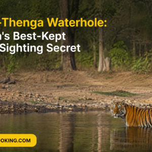 Baba-Thenga Waterhole Kanha's Best-Kept Tiger Sighting Secret
