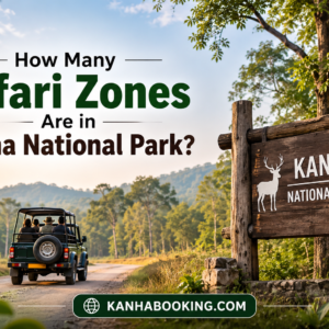 How Many Safari Zones Are in Kanha National Park