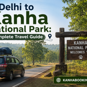 Delhi to Kanha National Park Complete Travel Guide