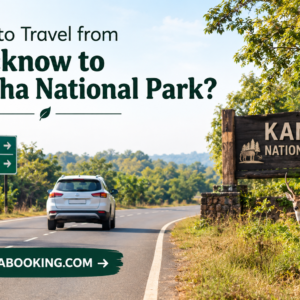 How to Travel from Lucknow to Kanha National Park